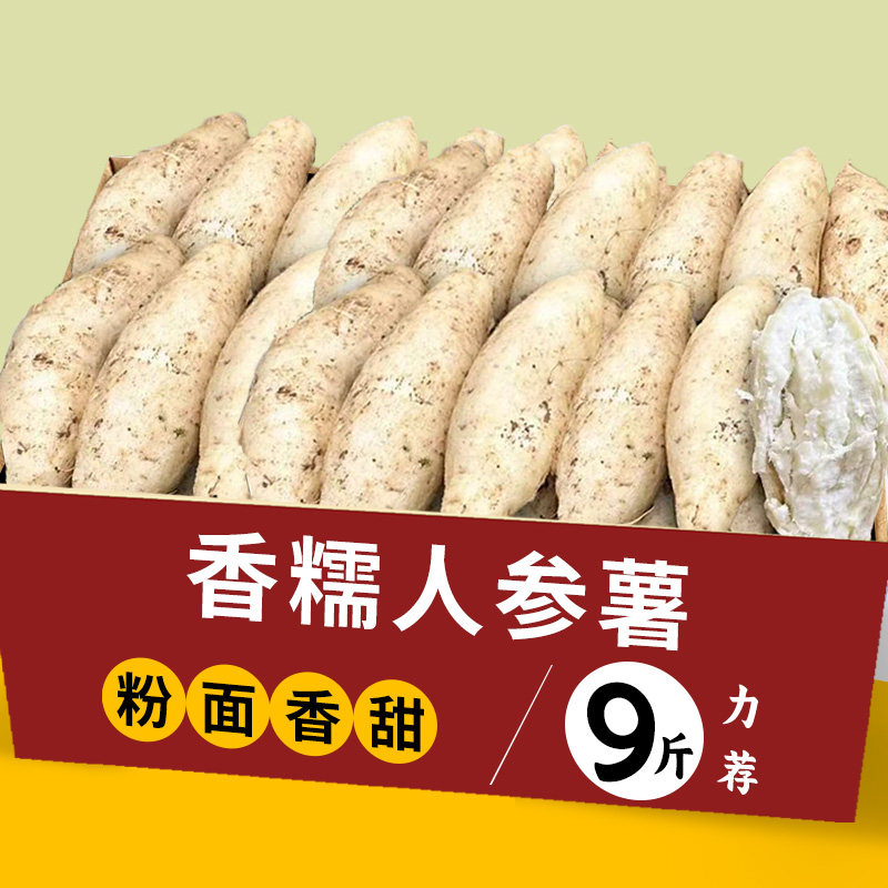 ���ڲ�����2�� СС�� 2025�˲���������������ڵع�