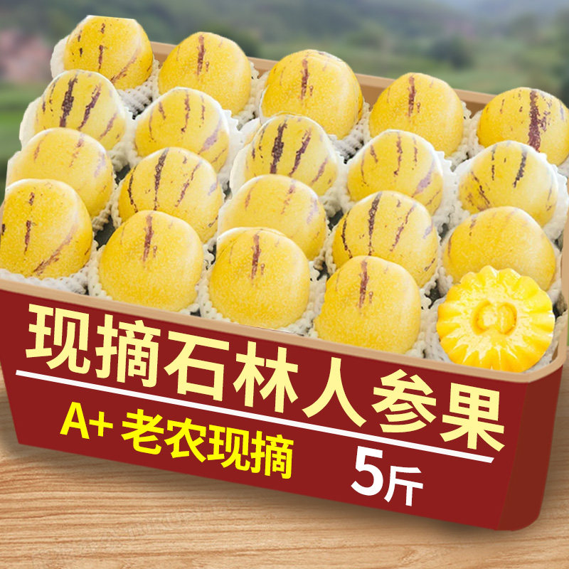 ���ڲ�����2�� Բ�� С��(��С|�����Ƽ�) ����ʯ���˲ι�9������������