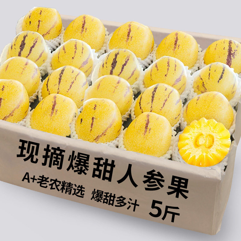 ���ڲ�����1�� Բ�� С��(��С|�����Ƽ�) ����ʯ���˲ι�9������������