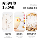 墨鱼骨玄凤虎皮牡丹鹦鹉补钙磨牙用品用具鸟食零食龟吊串啃咬玩具