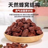 火山石鱼缸专用水族垫底砂生态造景大块火山岩颗粒古法养鱼过滤材