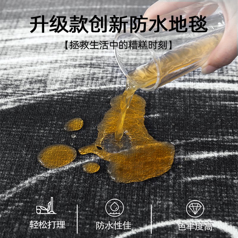 2024新款轻奢高级感黑色客厅地毯花草沙发茶几卧室加厚地垫免打理