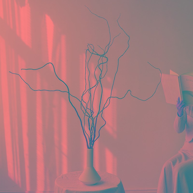 龙柳植物干树枝天然卧室客厅装饰高级宿舍餐厅桌面烘干摄影婚房