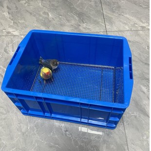 鹦鹉饲养盒保温盒垫网片手养鸟雏鸟幼鸟饲养盒鹦鹉盒网片