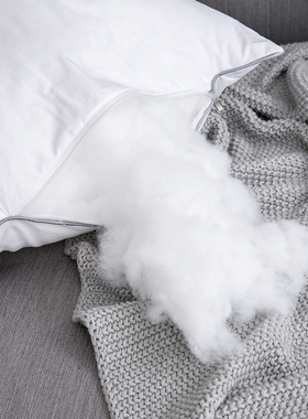 高弹抱枕芯沙发靠垫芯60x60卧室床上靠枕芯65x65x70x80x85腰枕芯