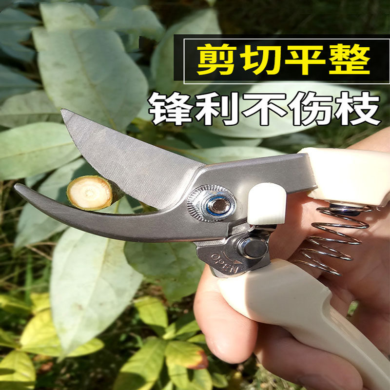 不锈钢强力园林园艺修枝剪家居修建树枝花卉剪刀园林家用省力修花