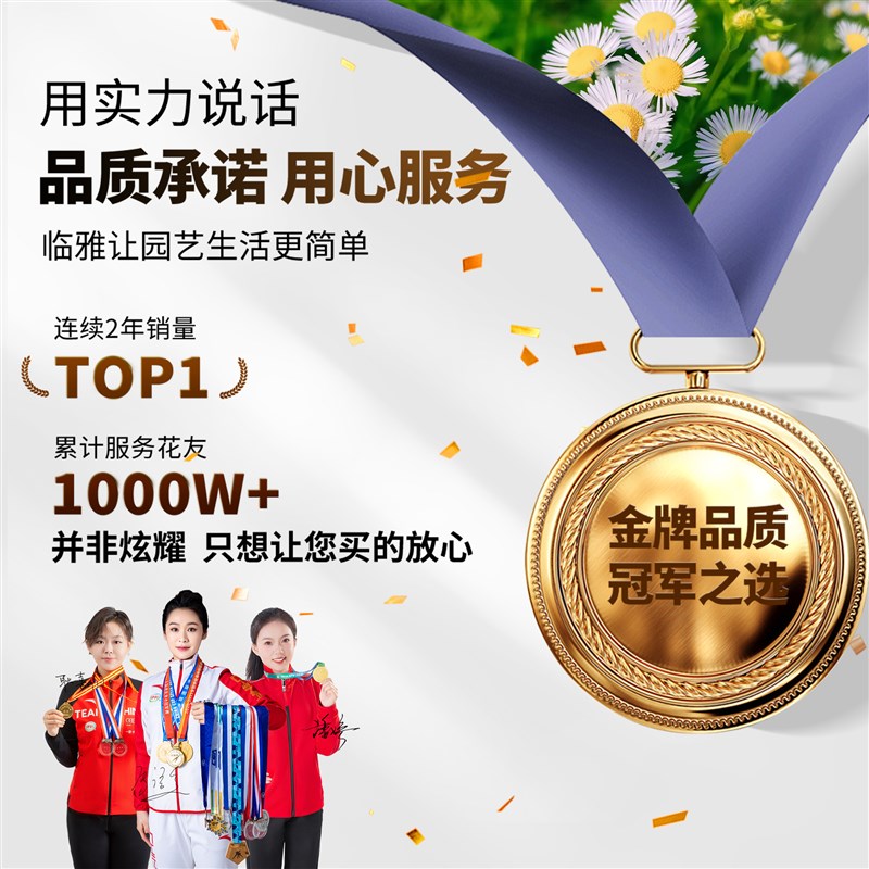 牵牛花盆栽爬藤植物花苗大喇叭花宿根带花苞垂吊阳台花卉地栽好养