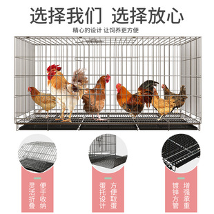 鸡笼子家用下蛋养鸡笼自动清粪滚蛋大号特大号鸡窝鸡舍折叠养殖笼