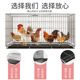 鸡笼子家用下蛋养鸡笼自动清粪滚蛋大号特大号鸡窝鸡舍折叠养殖笼