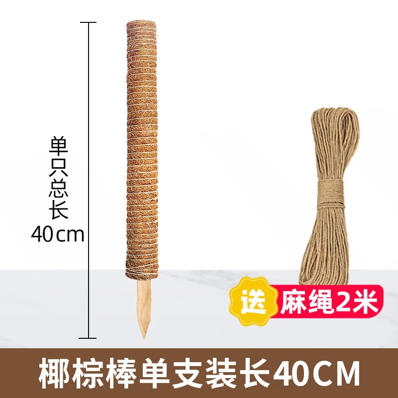 龟背竹支撑杆棕榈柱防倒伏支架花柱子植物支撑杆椰棕棒绿萝攀爬柱