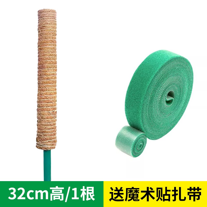 植物造型爬藤植物固定架绿萝柱椰棕榈棒棕柱水苔龟背竹攀爬支撑杆