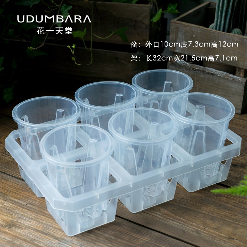 透明塑料花盆石斛蝴蝶兰花秋海棠海芋扦插试验观根繁殖育苗杯托架