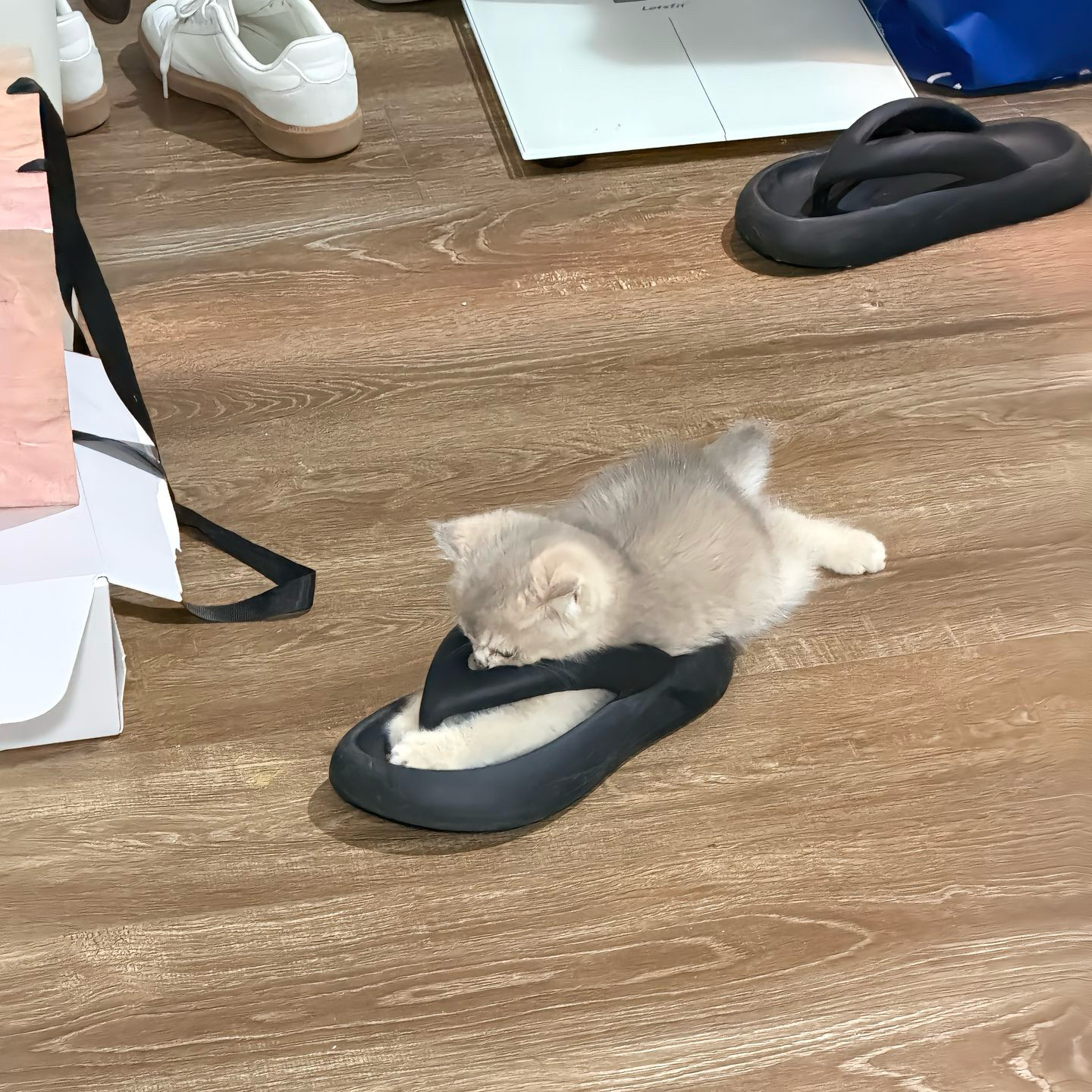 女士简约休闲人字拖鞋外穿款显瘦百搭拖鞋EVA加厚软底纯色
