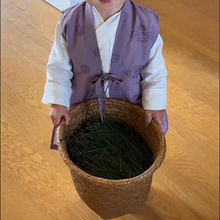 紫色新款中长款明制男童汉服儿童新款短袖气质男孩国风古装马甲