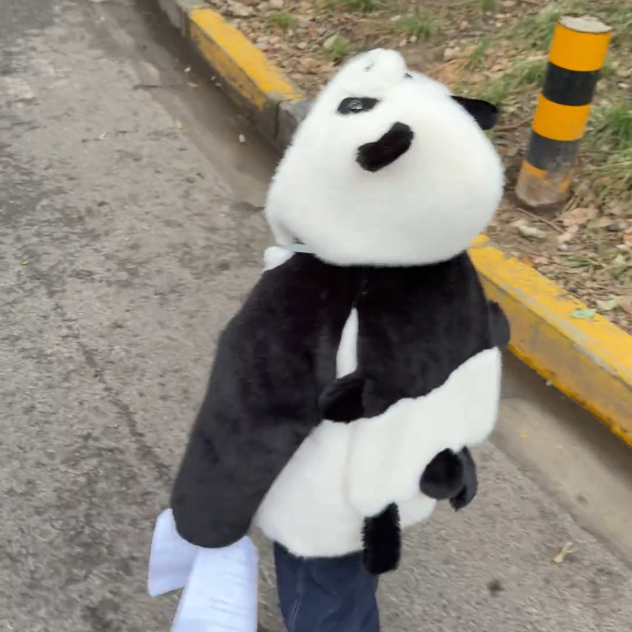 2026新款儿童加厚冬装可爱卡通时髦外套女童加绒连帽毛毛衣小熊猫