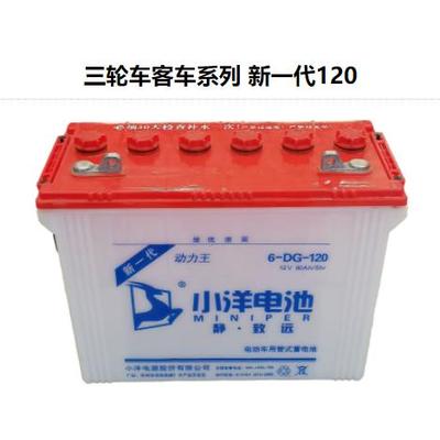 正品小洋水电瓶120新一代电动三轮车拉客车叉车专用蓄电池6DG120