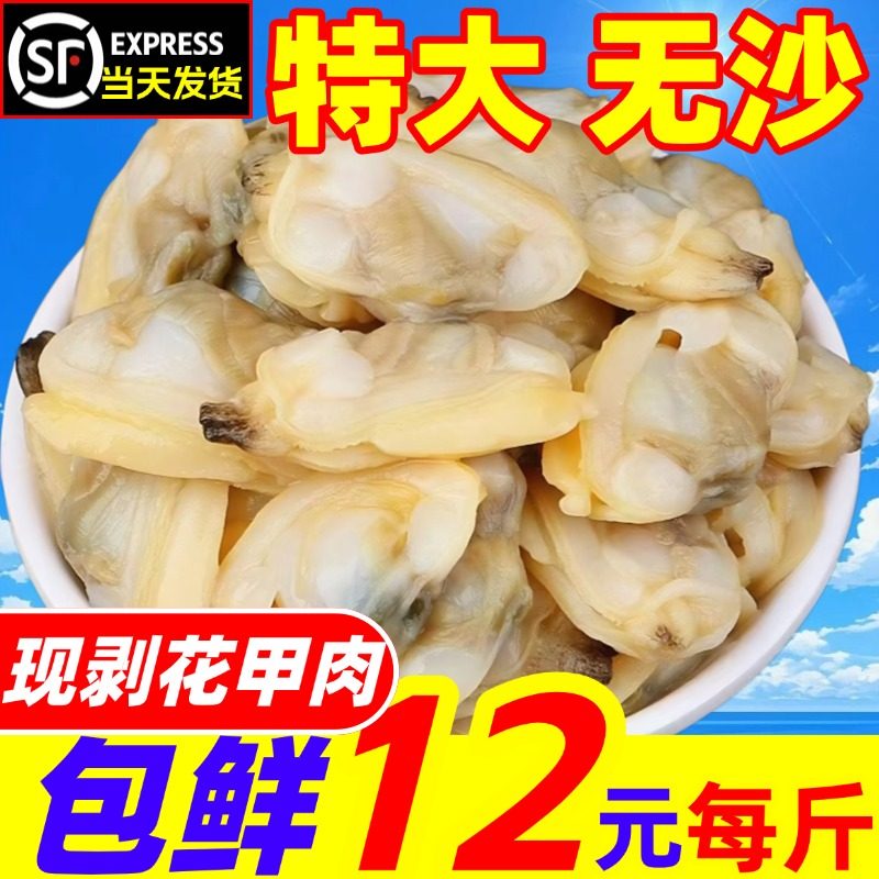 鲜活花甲肉现剥蛤蜊肉花蛤新鲜黄蚬仔肉花甲蛏子肉商用海鲜水产