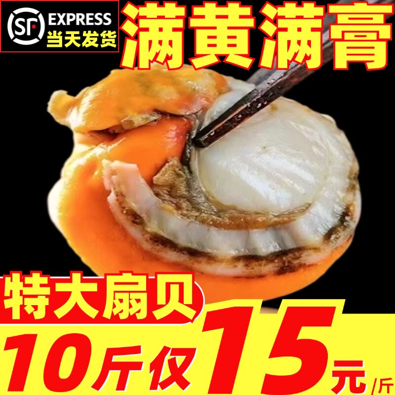 扇贝肉新鲜冷冻特大超大扇贝肉鲜活蒜蓉粉丝海鲜水产特大满膏满黄