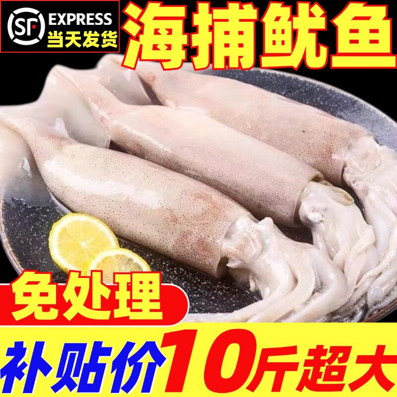鱿鱼新鲜特大鱿鱼鲜活冷冻铁板烧烤船捕整祇尤鱼墨鱼生鲜海鲜水产