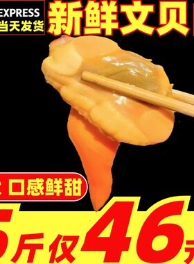 文贝肉新鲜无沙文贝纯肉鲜活手剥冷冻特大文蛤黄蚬子肉蛤蜊海鲜