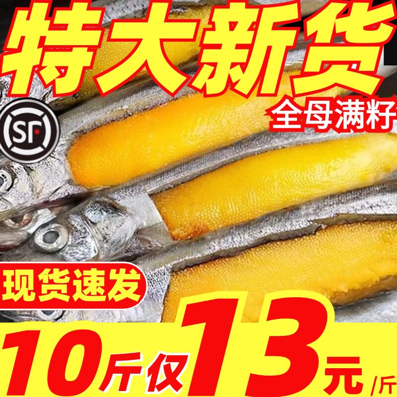 多春鱼新鲜满籽鱼鲜活冷冻特大海鱼带籽多籽鱼烧烤食材商用海鲜
