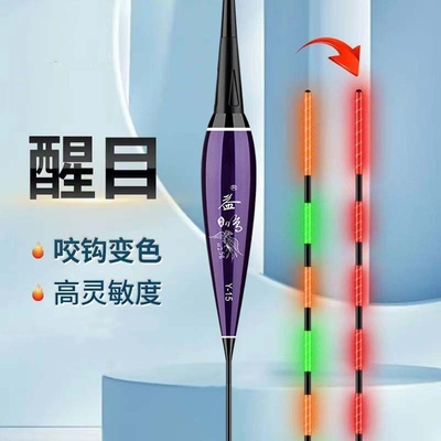 海力胜夜光浮漂大物电子漂两用