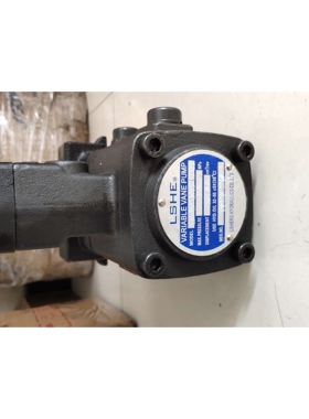 LSHE油泵 LSVPDF-2012-A1-12 立盛LISHENG双联泵 VPV1-20-20 叶片