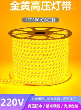 灯带led灯条超亮金黄色光暖光户外工程亮化景观照明220v