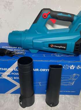 外贸2304款无刷暴风机大功率吹风机裸机(MT插口)