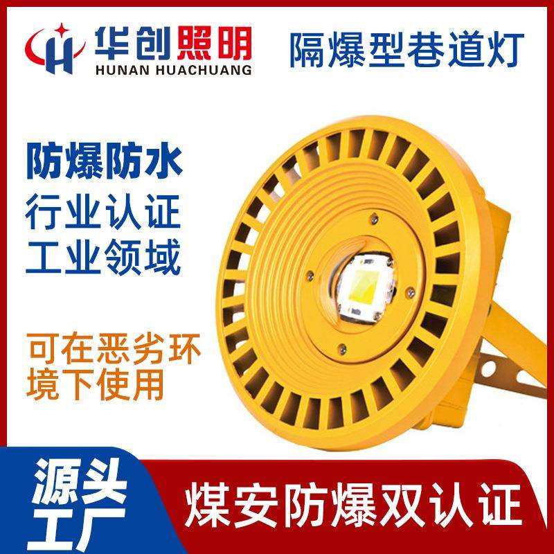 新款LED防爆投光灯36V工矿灯50W/70w防爆型投光灯 100W防爆灯
