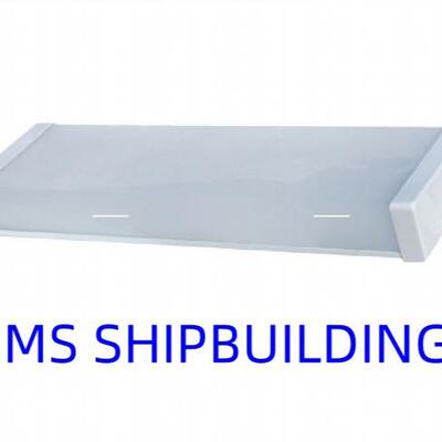 荧光蓬顶灯 FLUORESCENT CEILING LIGHT