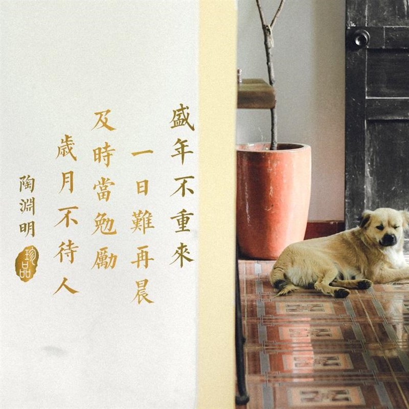 中国风传统诗词励志书法墙贴纸画客厅书房宿舍装饰品教室标语布置