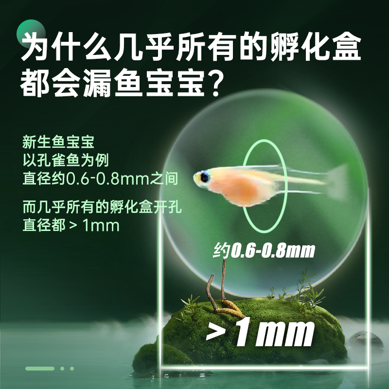 花小鱼孔雀鱼繁殖盒孵化盒不锈钢鱼缸隔离盒产卵器鱼卵繁殖箱小鱼