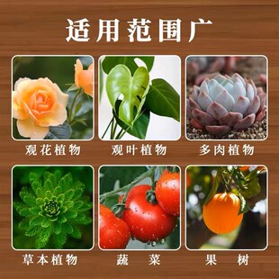 海南有机营养土养花种菜通用型土壤室内盆栽三角梅专用种植土椰糠