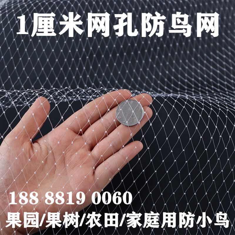 果树防鸟网小网孔果园天网尼龙网农用防鸟丝网樱桃嘉宝果树防护罩