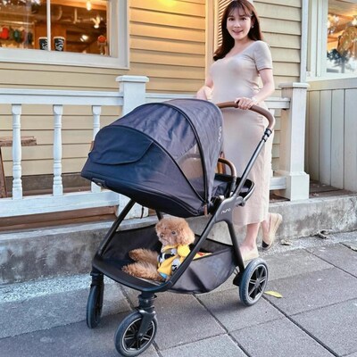 Nuna婴儿推车Triv轻便双向坐躺多功能型高景观宝宝伞车新升级next