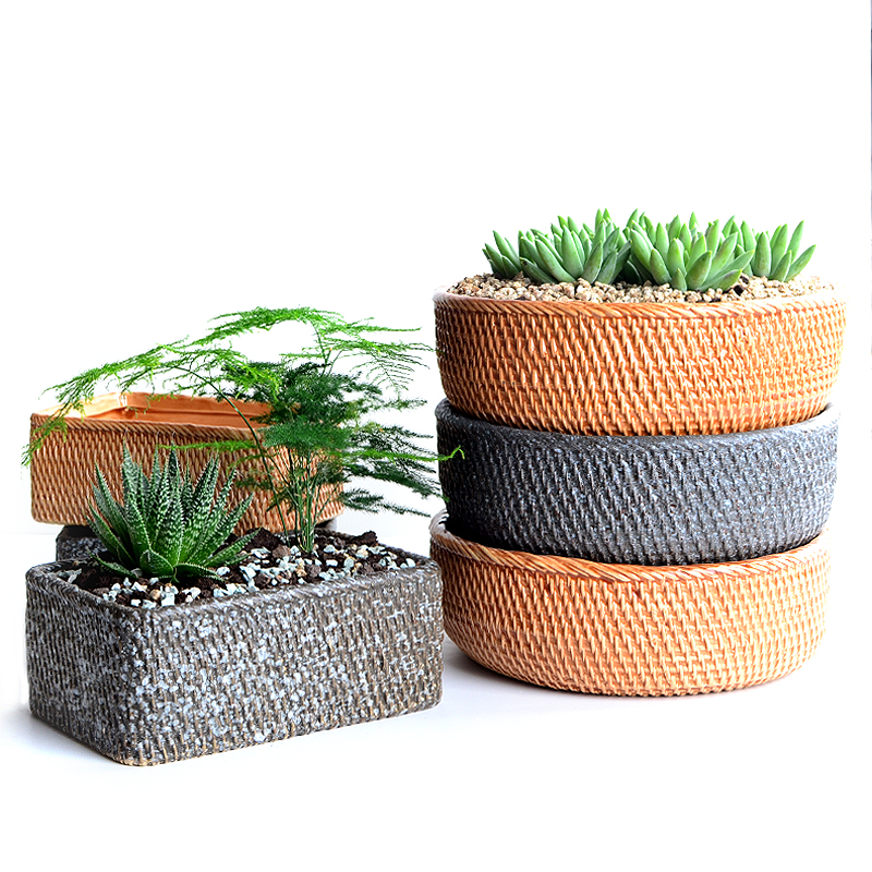 水仙花盆陶瓷大号无孔铜钱草碗莲睡莲水培植物盆室内多肉花盆容器