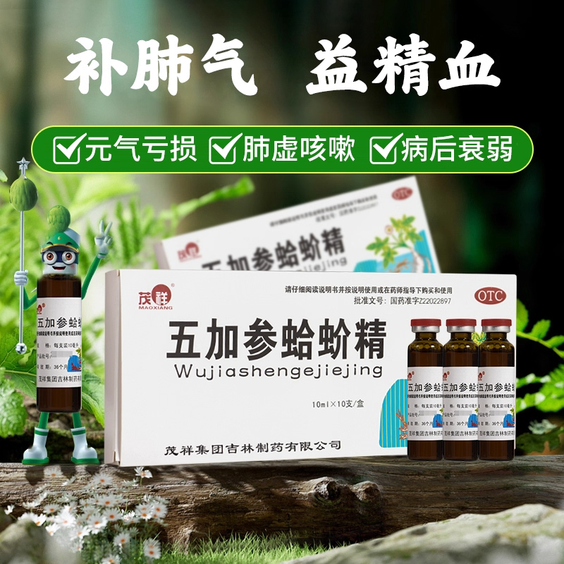 【茂祥】五加参蛤蚧精10ml*10支/盒咳嗽补肺气失眠肺虚咳嗽补气补血
