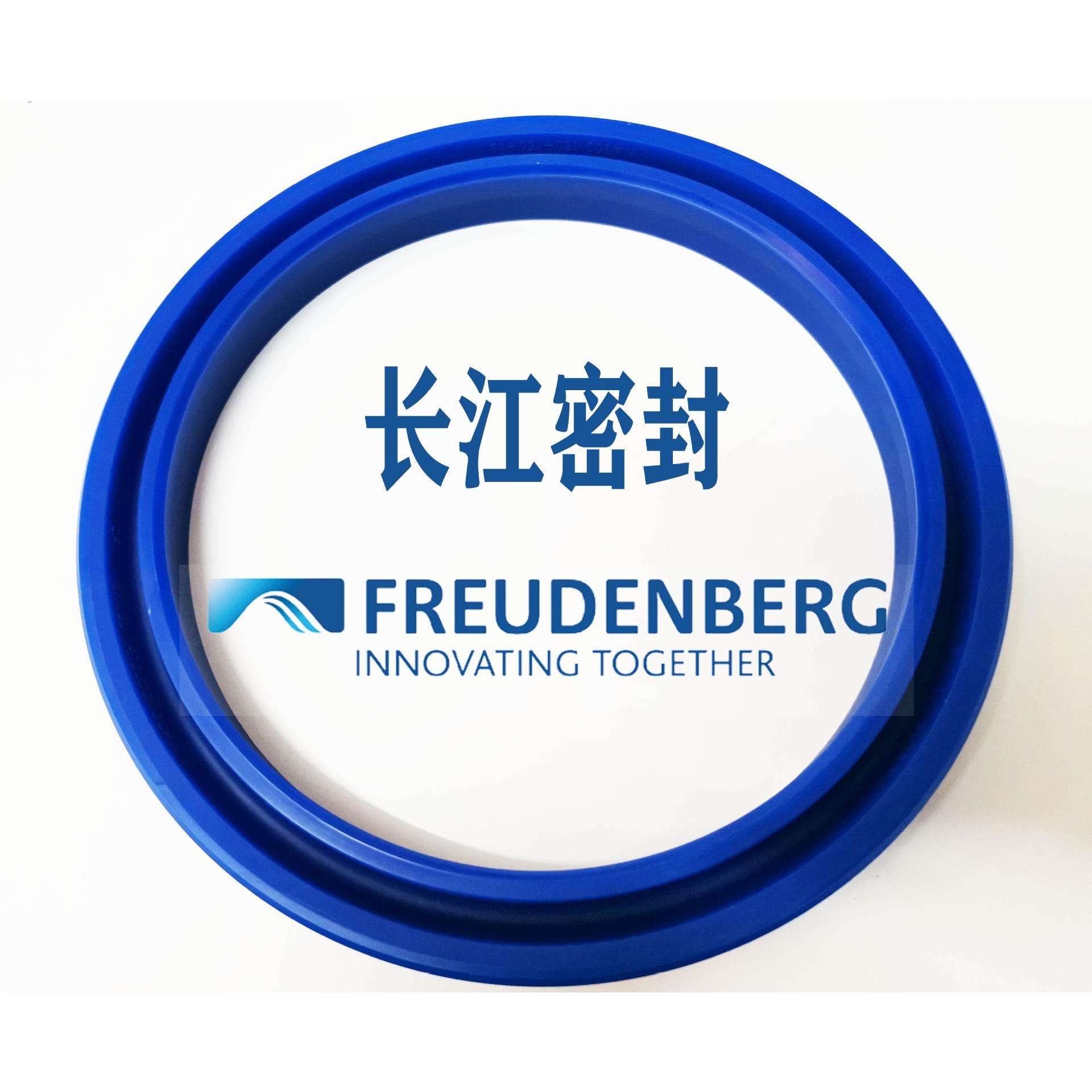 CFW B1 N9121 125-105-15 110-95-12德国进口密封件 na300活塞Y型