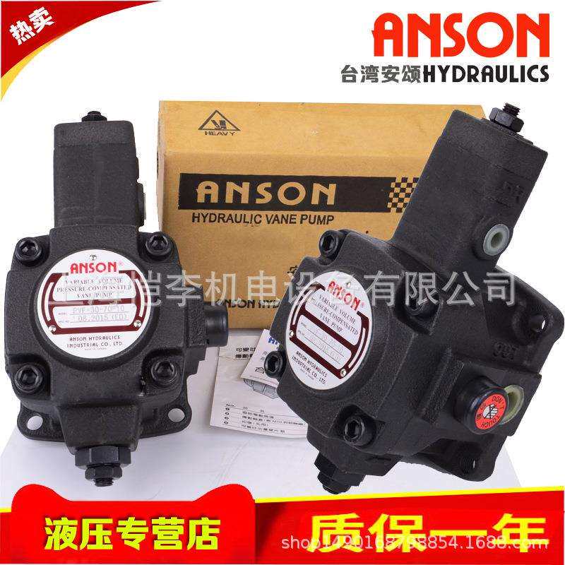 DENISON 丹尼逊 T6D-024-1R00-A1 1R01 1R02 1R03 1L 2R 2L B1