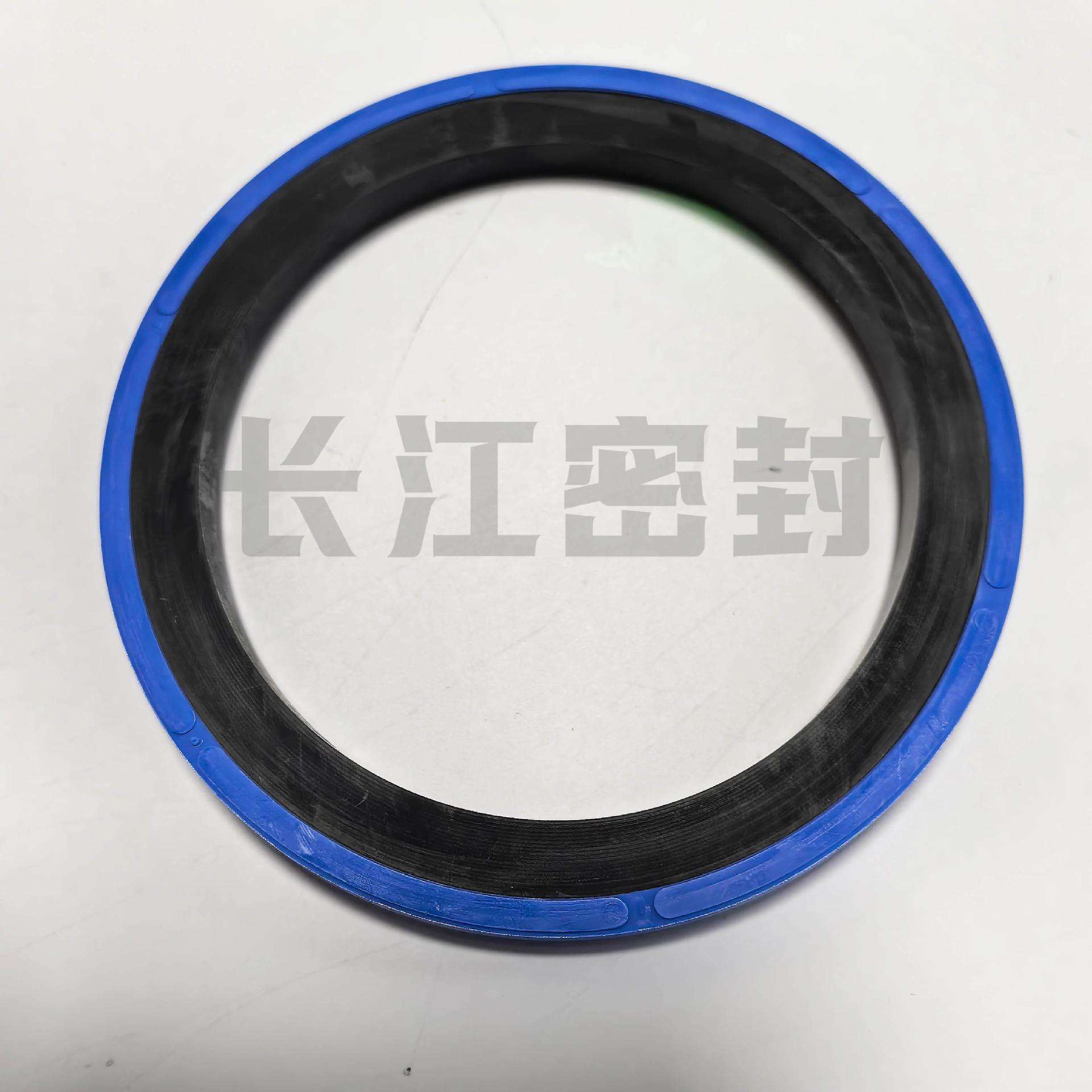 CFW SK20  63-50-6德国进口组合油封 进口油缸活塞油封
