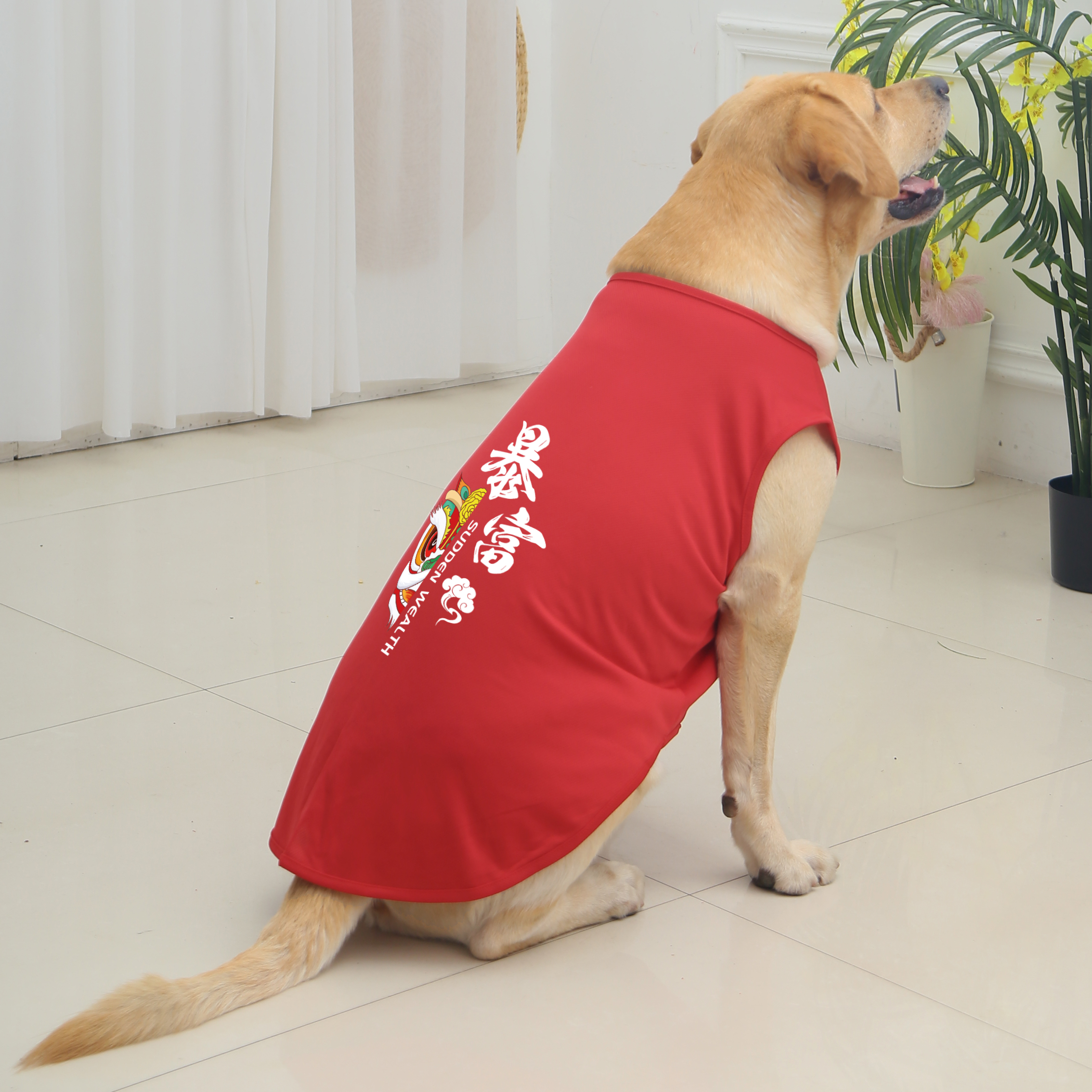 汪小萌狗狗衣服夏季薄款背心透气