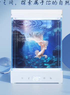 方寸秘境二代月光泰国斗鱼桌面小型热带办公室客厅家用造景月光