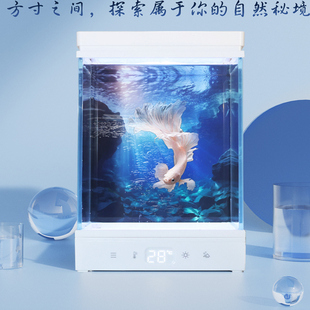 方寸秘境二代月光泰国斗鱼桌面小型热带办公室客厅家用造景月光