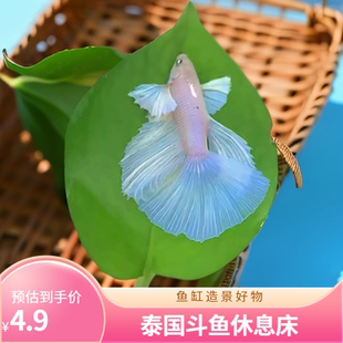 泰国斗鱼休息叶积木缸躲避屋产卵叶仿真水草绿色装饰树叶睡床造景