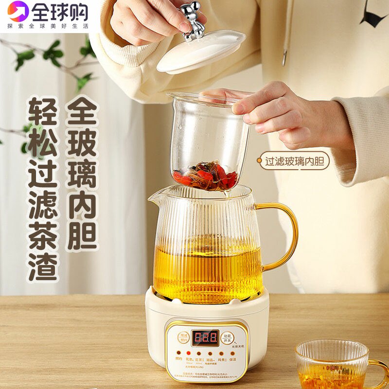 日本进口小型养生壶家用多功能办公室迷你一人煮茶壶煮茶器烧水壶