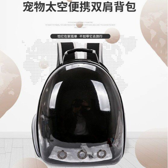 透物包外出双肩背包侧开透气猫咪