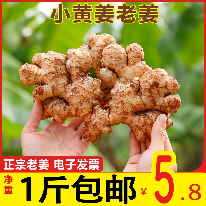 云南正宗小黄姜农家自种老姜母新鲜生姜现挖生姜月子干姜1斤包邮5