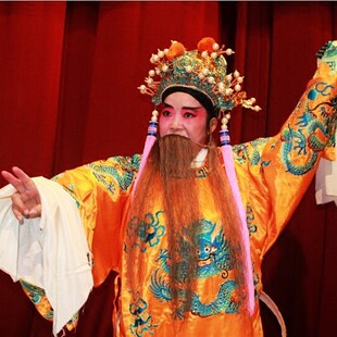 极速京剧蟒袍h皇帝三哭殿王子王爷黄色蟒袍玉带戏曲戏剧龙袍团龙