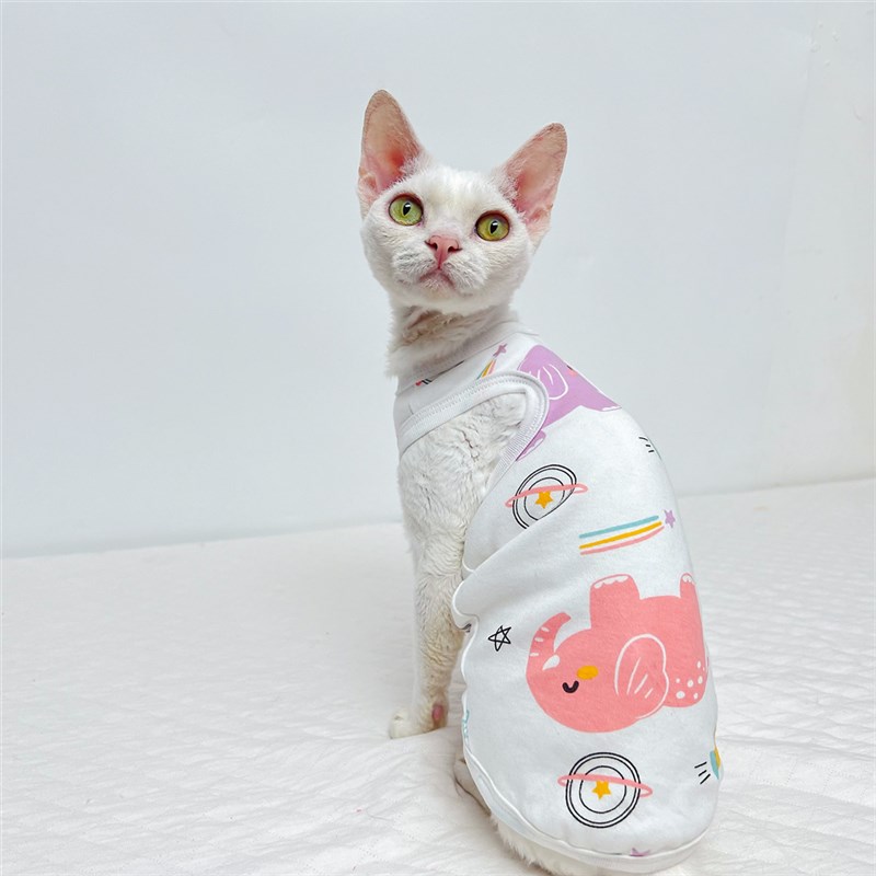 极速斯芬克斯无毛德文猫衣服夏季工字背心打底R衫防脱护肚空调服